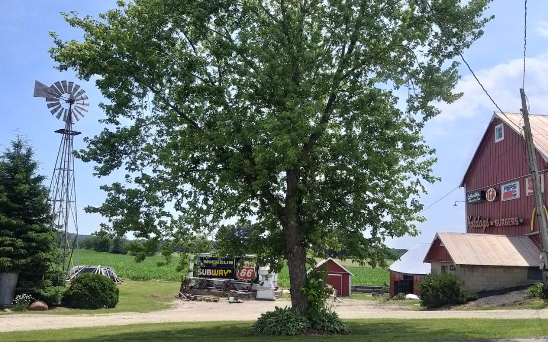Kozowozem przez USA (1): podróż za jednego dolara (no może ciut więcej)